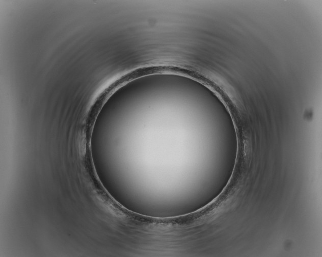 X0000096721069200802121243