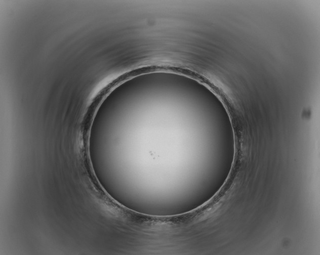 X0000096721070200802121243