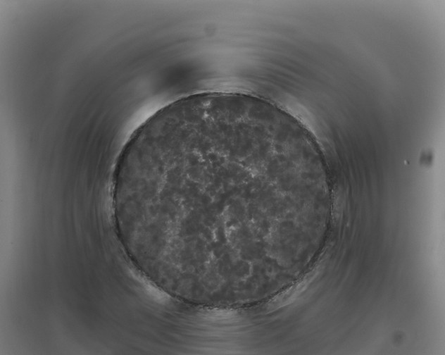 X0000096721071200802121243