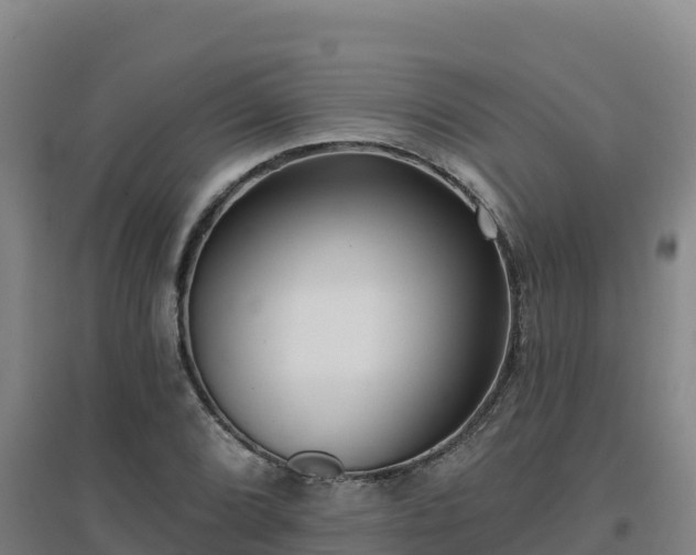 X0000096721072200802121243