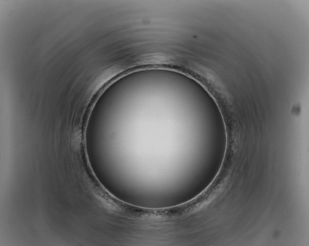 X0000096721073200802121243