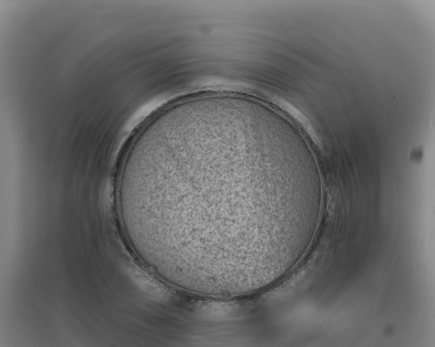 X0000096721074200802121243