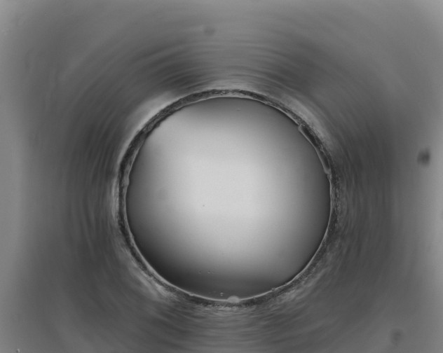 X0000096721076200802121243