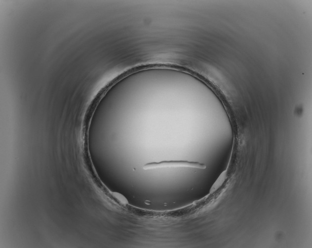 X0000096721077200802121243
