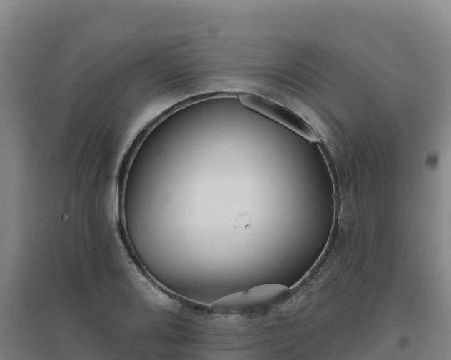 X0000096721080200802121243