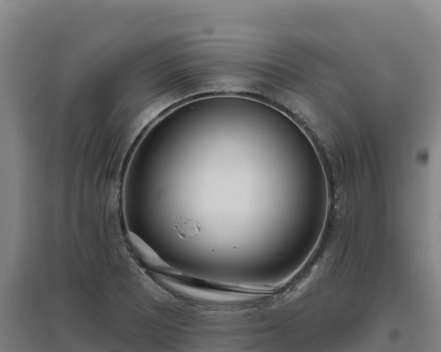 X0000096721081200802121243