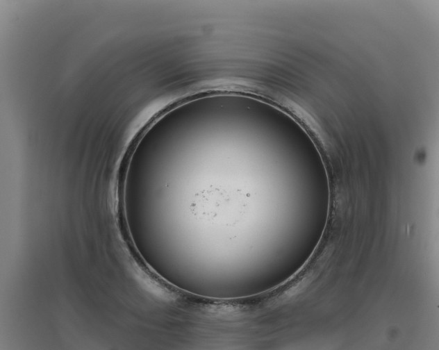 X0000096721082200802121243