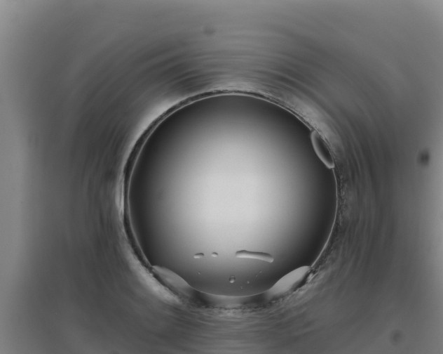 X0000096721084200802121243