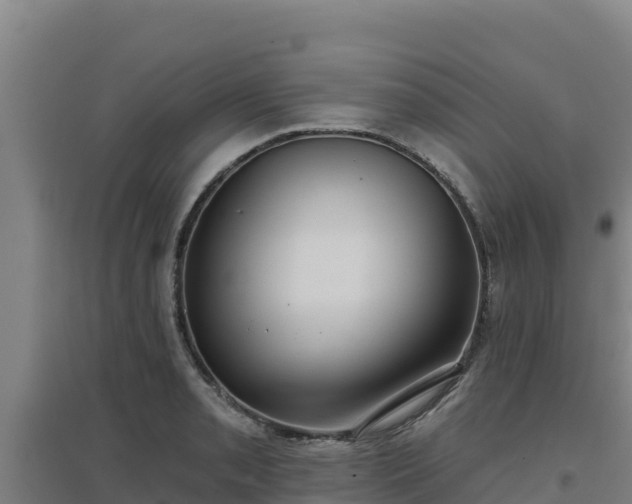 X0000096721085200802121243
