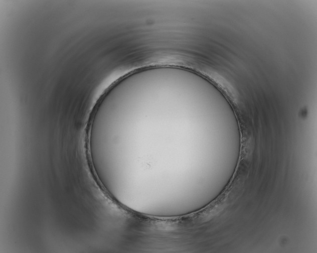 X0000096721086200802121243