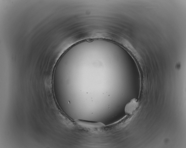 X0000096721089200802121243