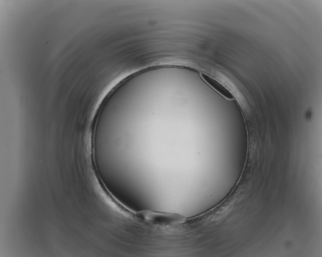 X0000096721092200802121243