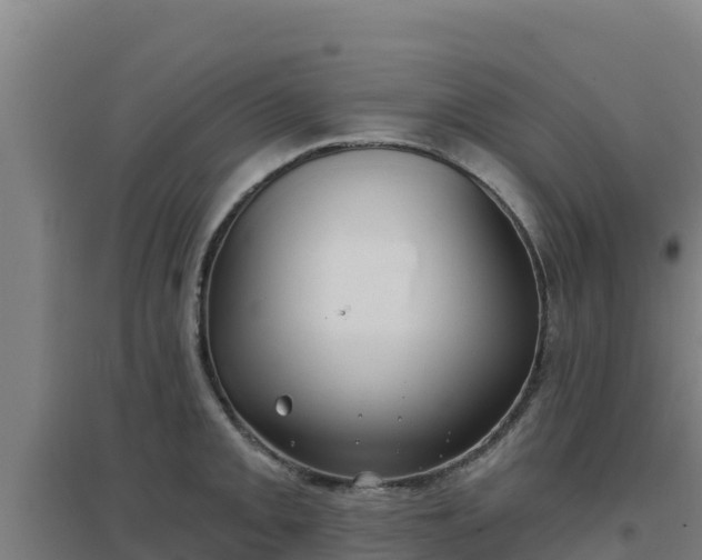 X0000096721093200802121243