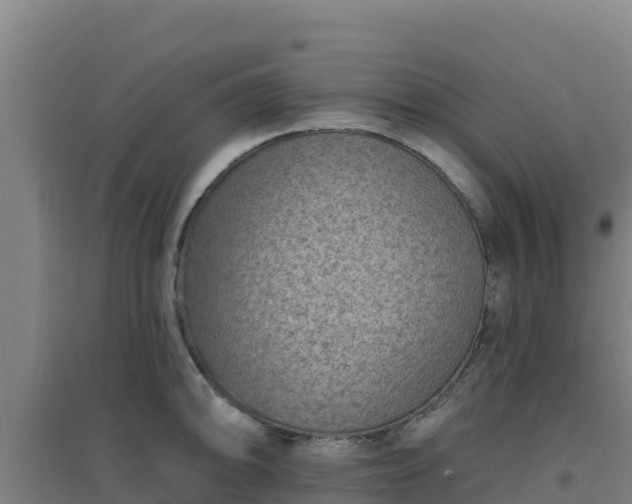 X0000096721094200802121243