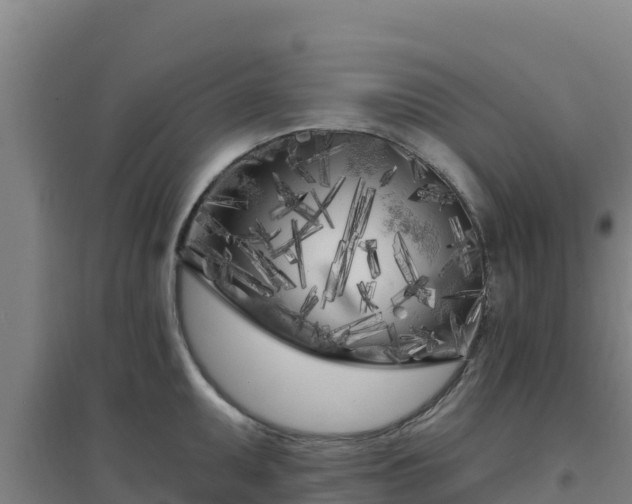 X0000096721095200802121243