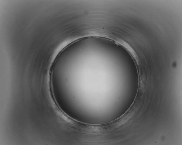 X0000096721096200802121243
