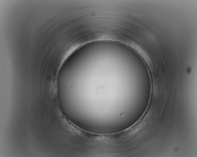 X0000096721097200802121243