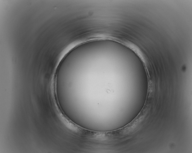 X0000096721098200802121243