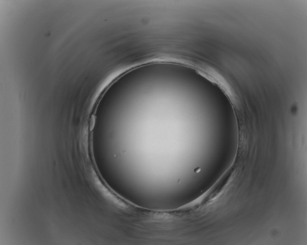 X0000096721100200802121243