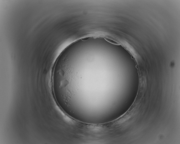X0000096721103200802121242