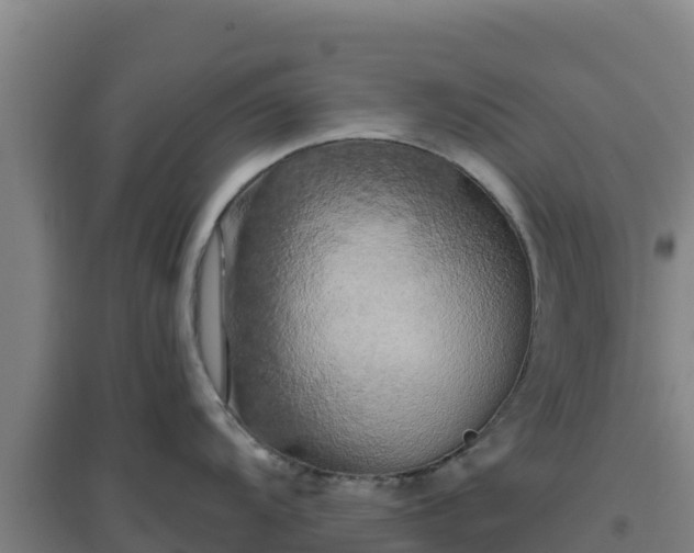 X0000096721104200802121242