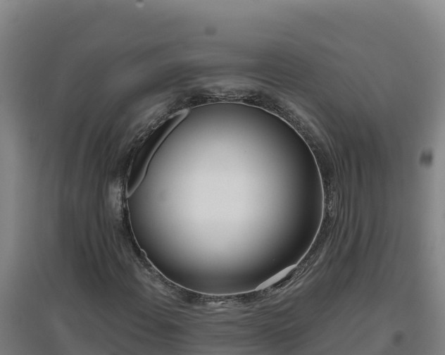X0000096721108200802121242