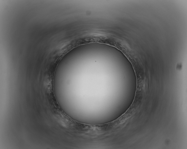 X0000096721109200802121242