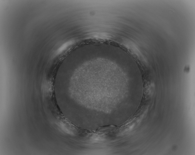 X0000096721110200802121242
