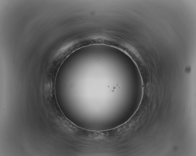 X0000096721111200802121242