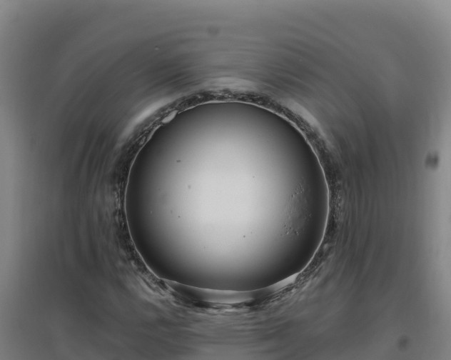 X0000096721112200802121242
