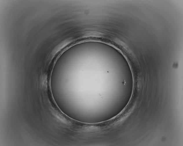 X0000096721113200802121242