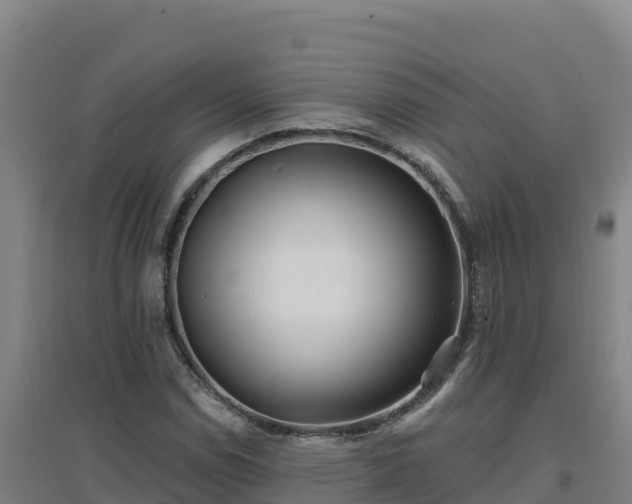X0000096721114200802121242