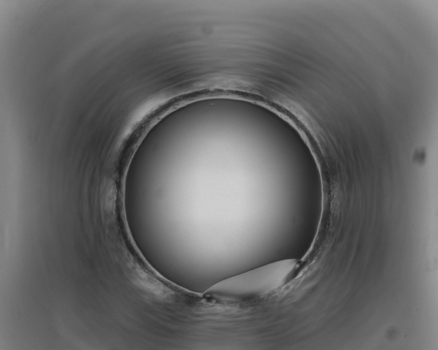X0000096721115200802121242