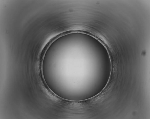 X0000096721116200802121242