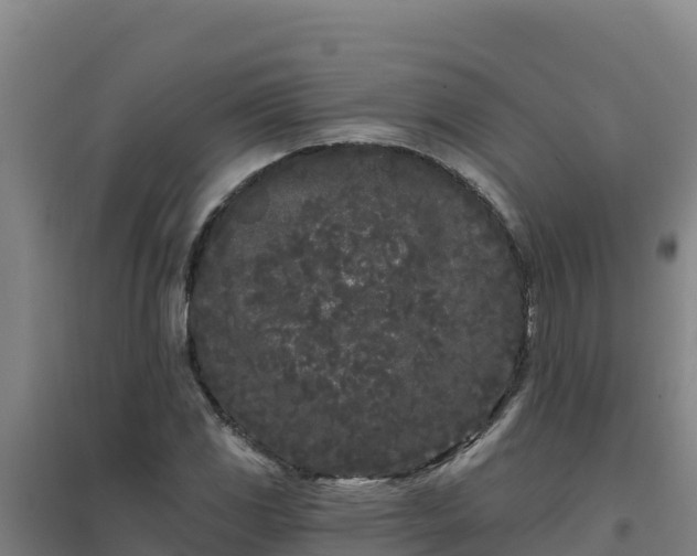 X0000096721117200802121242
