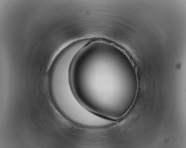 X0000096721118200802121242
