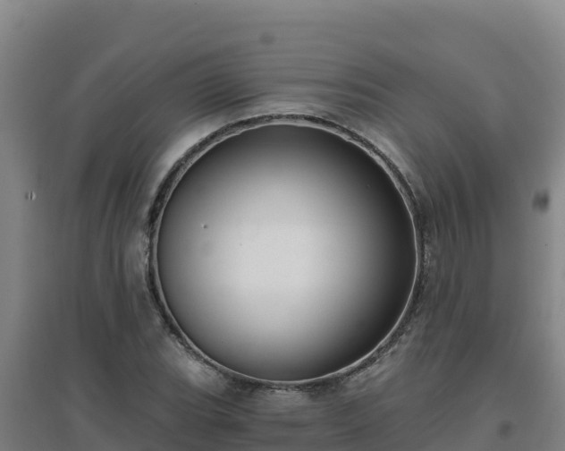 X0000096721119200802121242