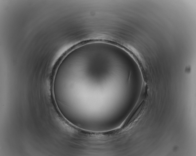 X0000096721120200802121242