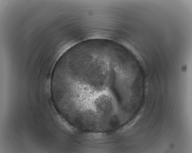 X0000096721121200802121242