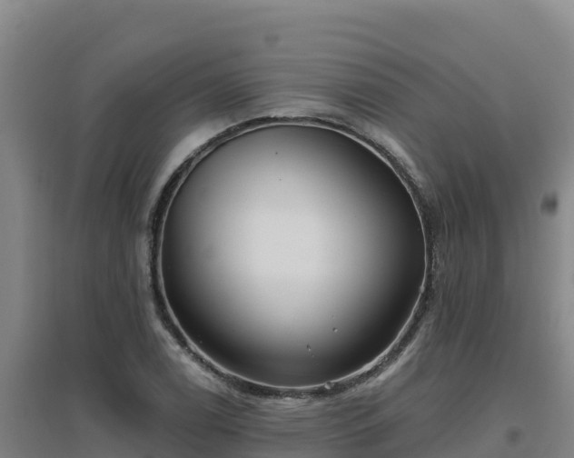 X0000096721122200802121242