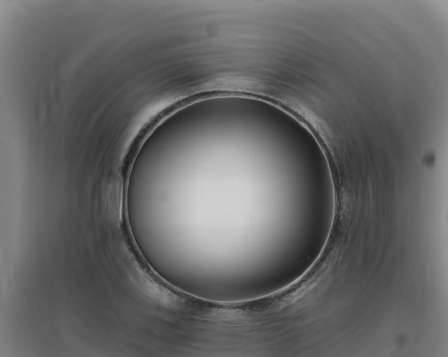 X0000096721123200802121242