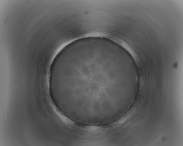 X0000096721124200802121242