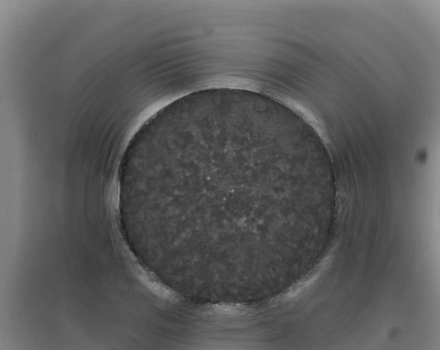 X0000096721125200802121242