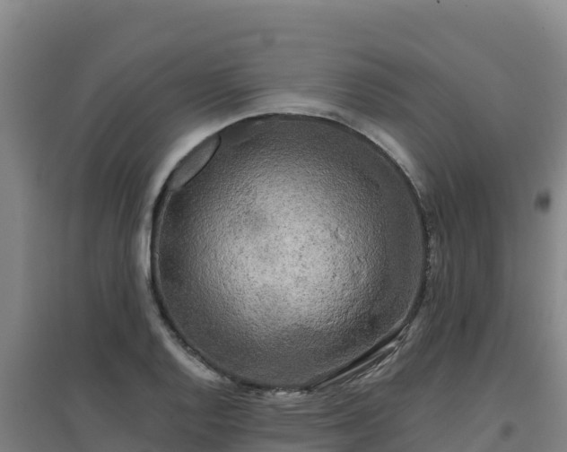 X0000096721128200802121242