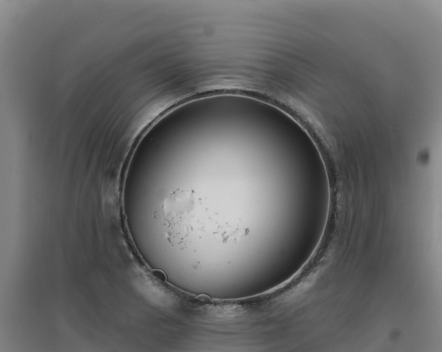 X0000096721129200802121242