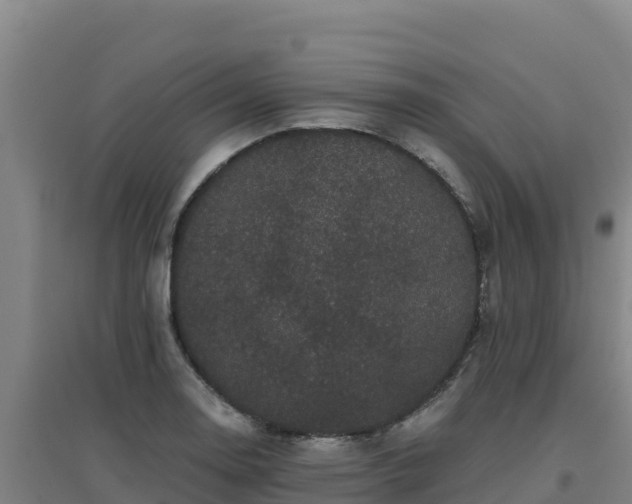 X0000096721130200802121242