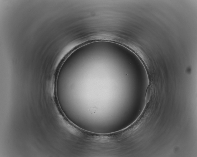 X0000096721131200802121242