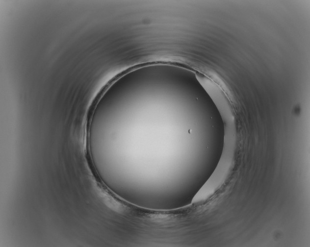 X0000096721132200802121242