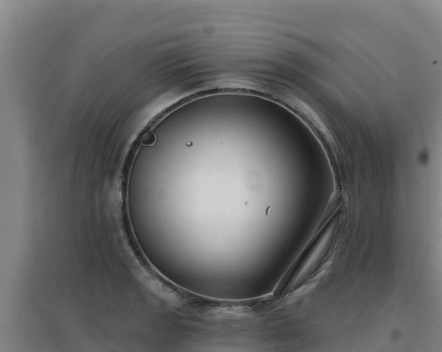 X0000096721133200802121242