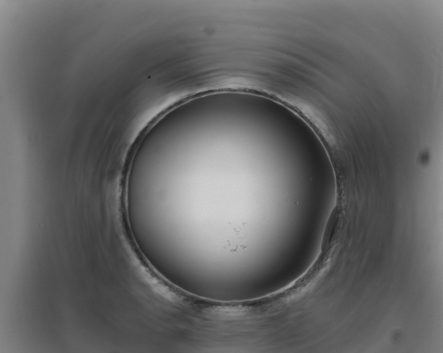 X0000096721134200802121242